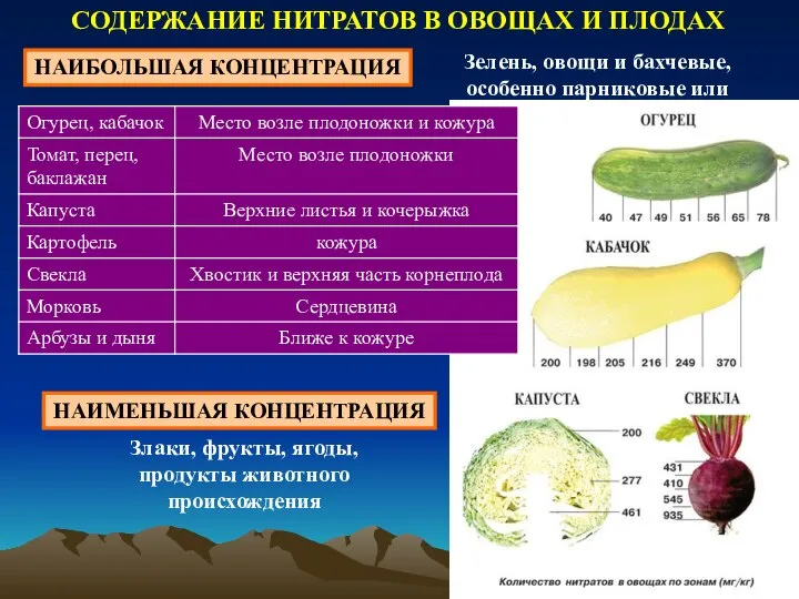 СОДЕРЖАНИЕ НИТРАТОВ В ОВОЩАХ И ПЛОДАХ НАИБОЛЬШАЯ КОНЦЕНТРАЦИЯ Зелень, овощи и