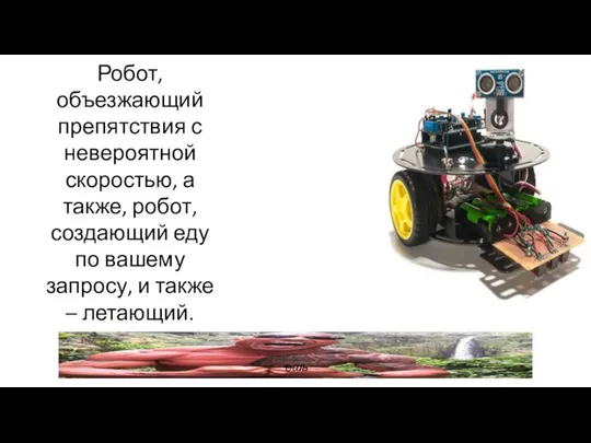 Робот, объезжающий препятствия с невероятной скоростью, а также, робот, создающий еду