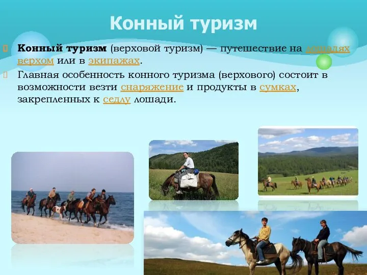 Конный туризм (верховой туризм) — путешествие на лошадях верхом или в