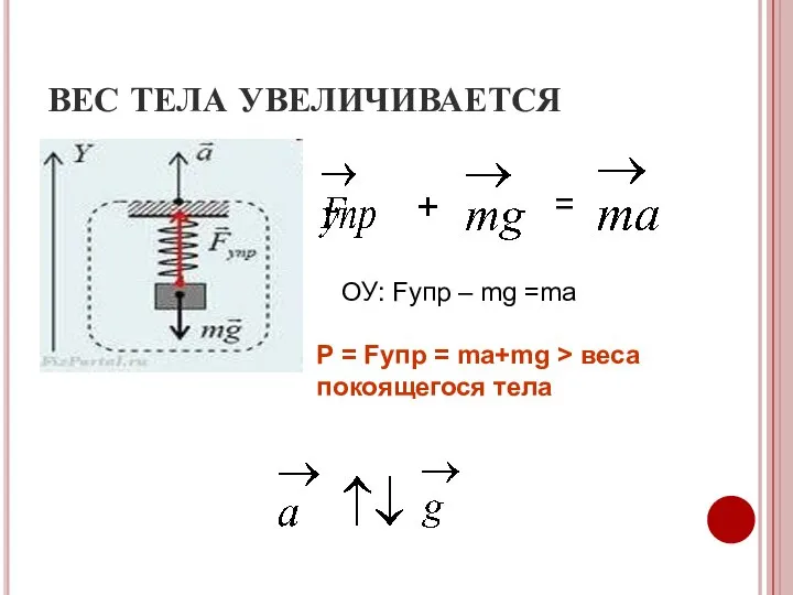 ВЕС ТЕЛА УВЕЛИЧИВАЕТСЯ + = ОУ: Fупр – mg =ma P