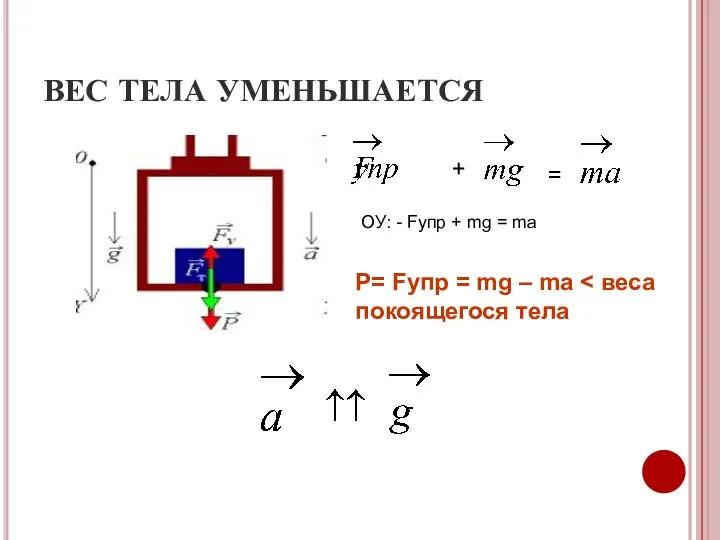 ВЕС ТЕЛА УМЕНЬШАЕТСЯ + = ОУ: - Fупр + mg =