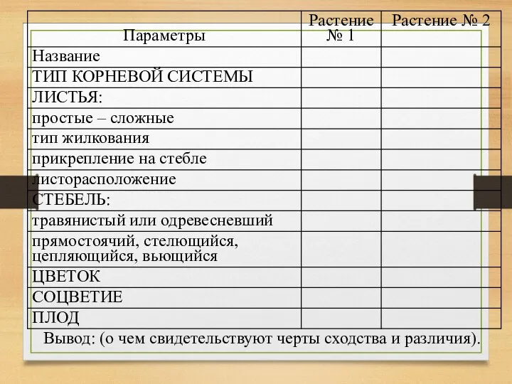 ХОД РАБОТЫ. Вывод: (о чем свидетельствуют черты сходства и различия).