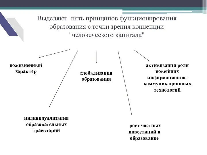 Выделяют пять принципов функционирования образования с точки зрения концепции "человеческого капитала"