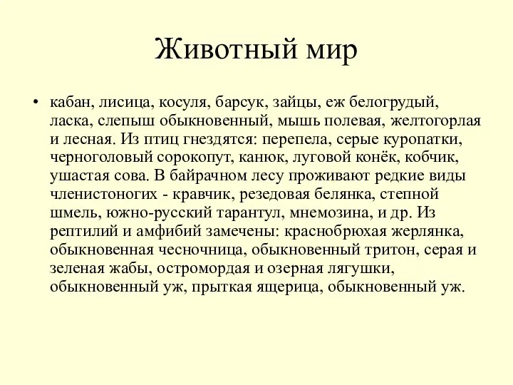 Животный мир кабан, лисица, косуля, барсук, зайцы, еж белогрудый, ласка, слепыш