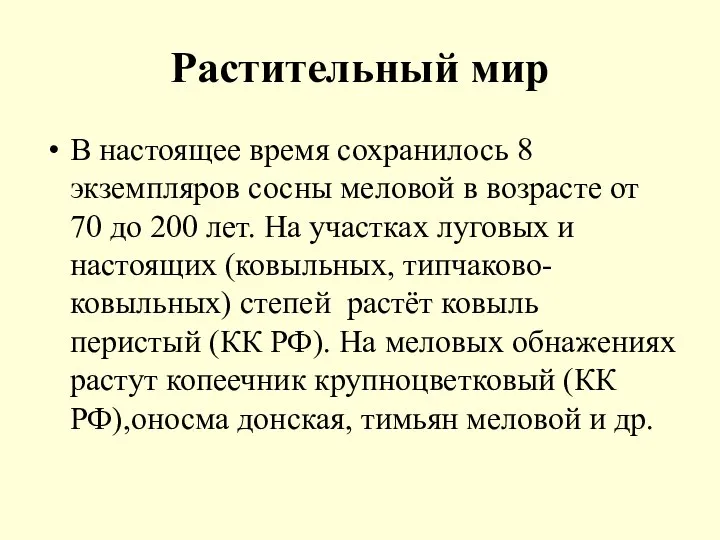 Растительный мир В настоящее время сохранилось 8 экземпляров сосны меловой в