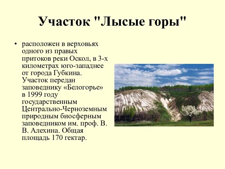 Участок "Лысые горы" расположен в верховьях одного из правых притоков реки