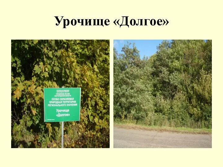 Урочище «Долгое»