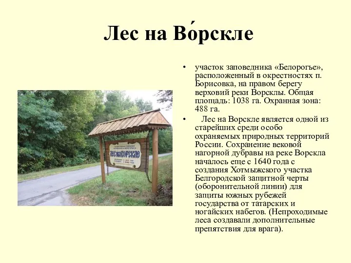 Лес на Во́рскле участок заповедника «Белорогье», расположенный в окрестностях п. Борисовка,