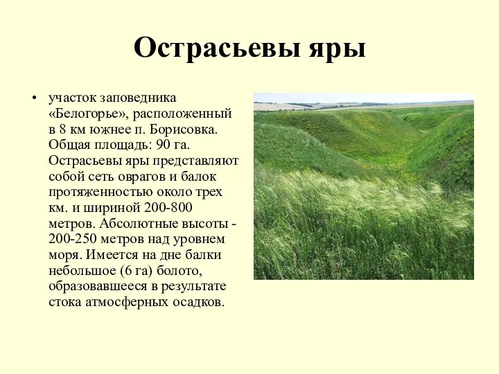 Острасьевы яры участок заповедника «Белогорье», расположенный в 8 км южнее п.