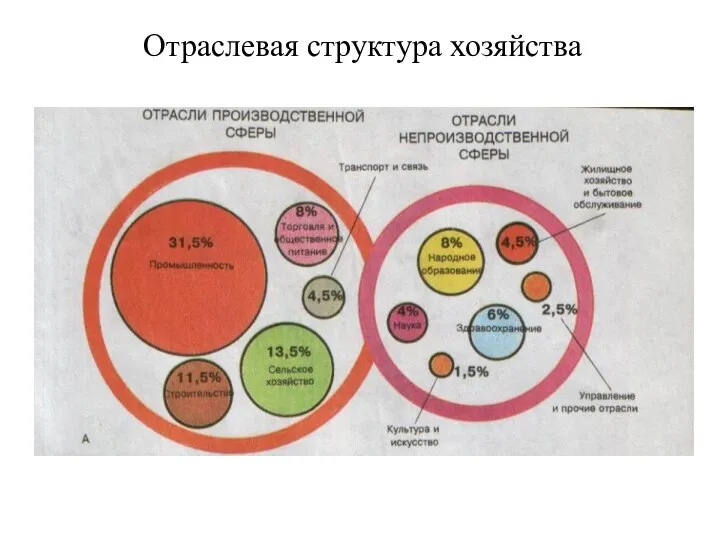 Отраслевая структура хозяйства