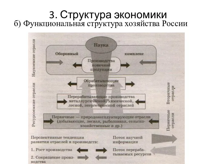 3. Структура экономики б) Функциональная структура хозяйства России