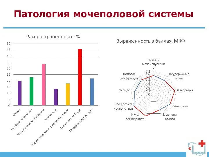 Патология мочеполовой системы