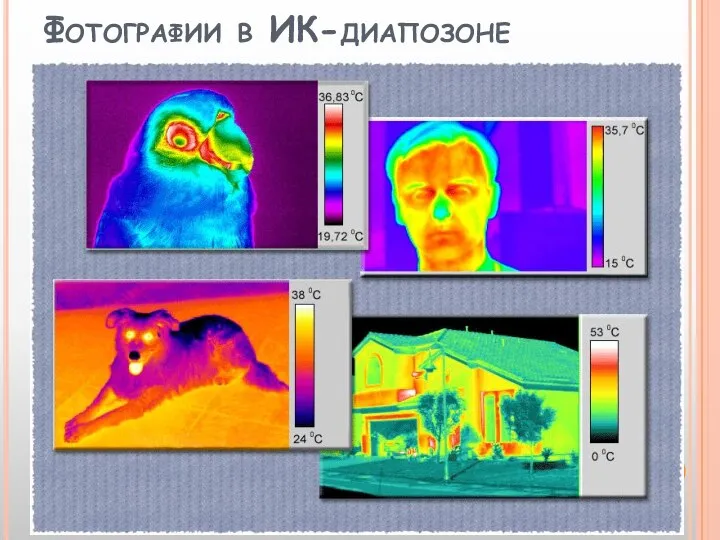 Фотографии в ИК-диапозоне