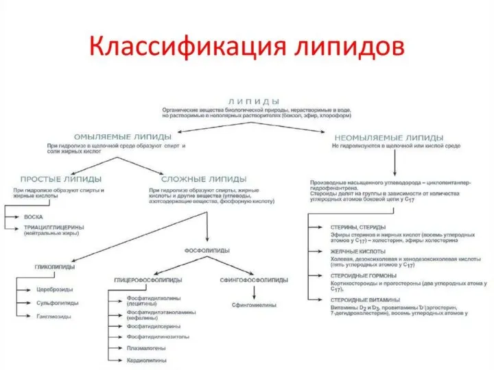 7. Напишите уравнения реакций, протекающих по схеме: Пальмитиновая кислота ацил-КоА-синтетаза> А