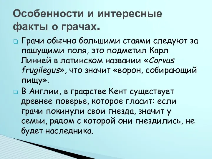 Грачи обычно большими стаями следуют за пашущими поля, это подметил Карл