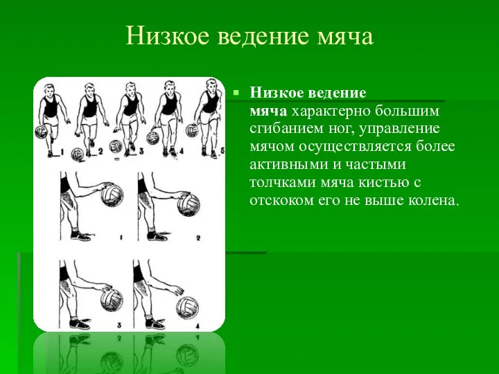 Низкое ведение мяча Низкое ведение мяча характерно большим сгибанием ног, управление