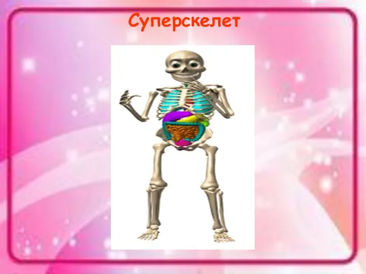 Суперскелет