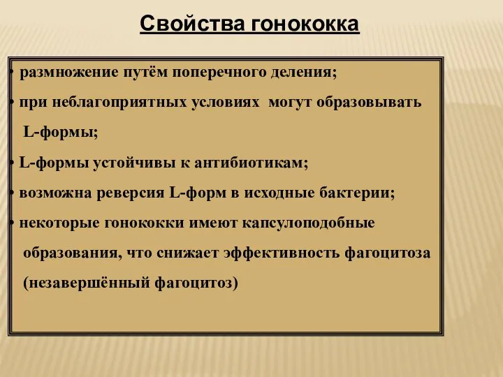 размножение путём поперечного деления; при неблагоприятных условиях могут образовывать L-формы; L-формы