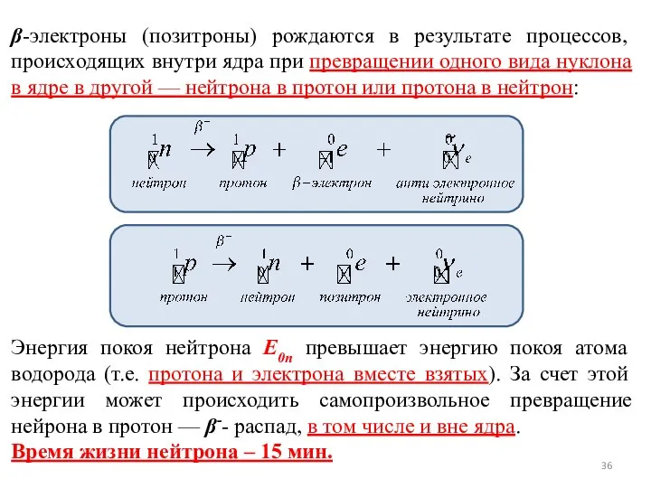 β-электроны (позитроны) рождаются в результате процессов, происходящих внутри ядра при превращении