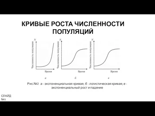 КРИВЫЕ РОСТА ЧИСЛЕННОСТИ ПОПУЛЯЦИЙ Рис.№2 а - экспоненциальная кривая; б -