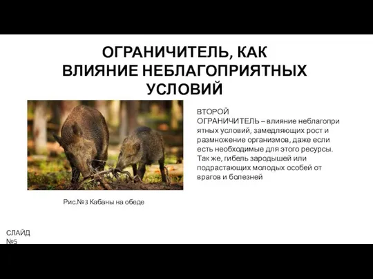 ОГРАНИЧИТЕЛЬ, КАК ВЛИЯНИЕ НЕБЛАГОПРИЯТНЫХ УСЛОВИЙ ВТОРОЙ ОГРАНИЧИТЕЛЬ – влияние неблагоприятных условий,