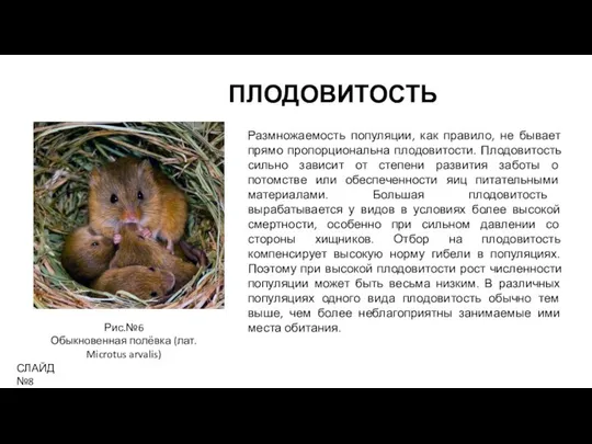 ПЛОДОВИТОСТЬ СЛАЙД №8 Размножаемость популяции, как правило, не бывает прямо пропорциональна