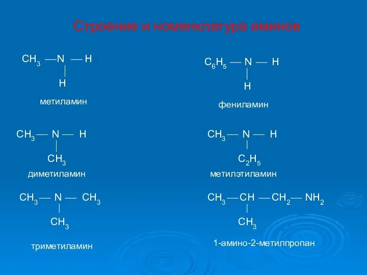 Строение и номенклатура аминов CH3 N H H CH3 N H