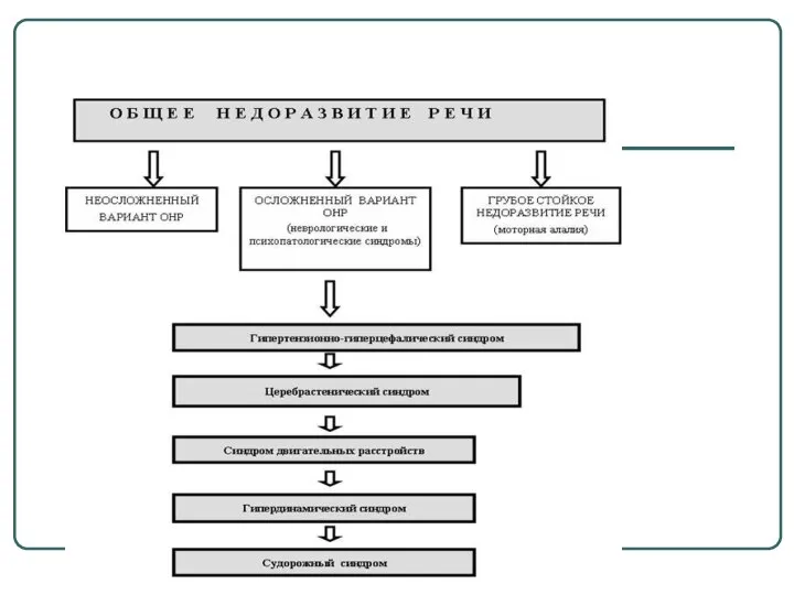 Клинические виды общего недоразвития речи