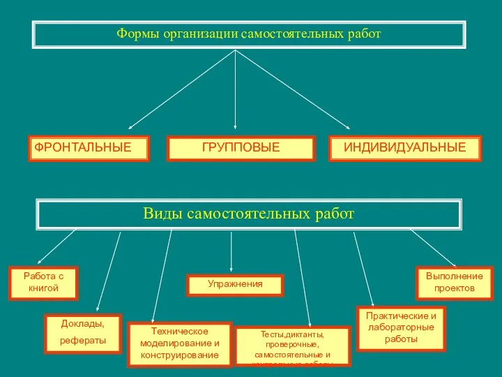 Формы организации самостоятельных работ ФРОНТАЛЬНЫЕ ГРУППОВЫЕ ИНДИВИДУАЛЬНЫЕ Виды самостоятельных работ Упражнения