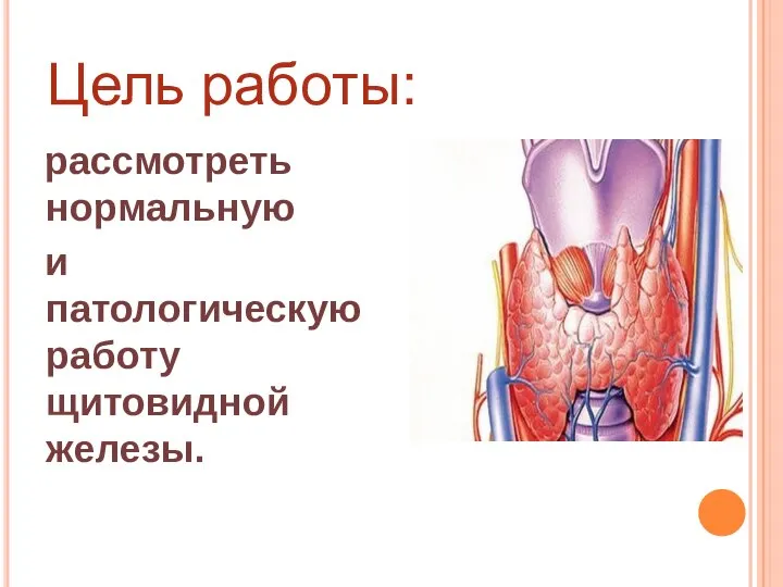 Цель работы: рассмотреть нормальную и патологическую работу щитовидной железы.