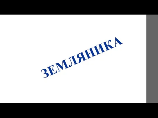 ЗЕМЛЯНИКА