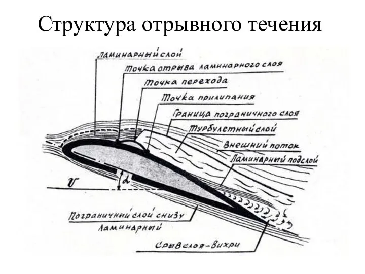 Структура отрывного течения