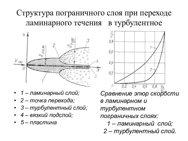 Структура пограничного слоя при переходе ламинарного течения в турбулентное 1 –