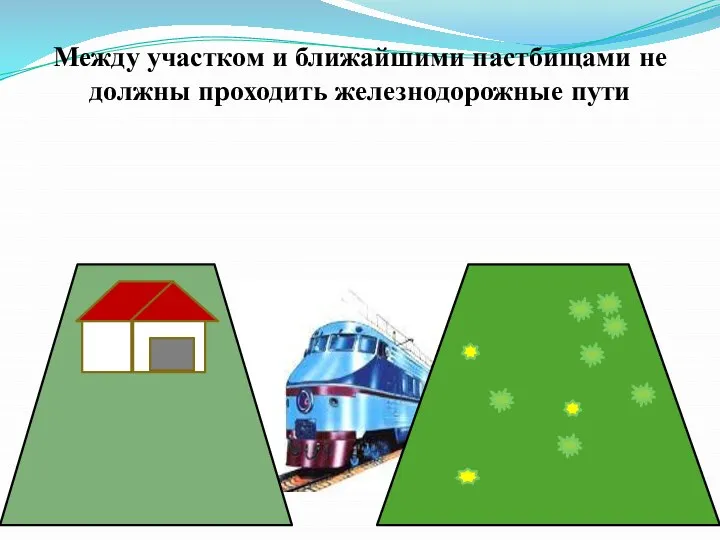 Между участком и ближайшими пастбищами не должны проходить железнодорожные пути