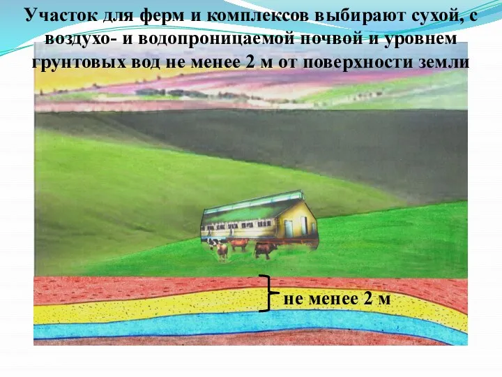 не менее 2 м Участок для ферм и комплексов выбирают сухой,