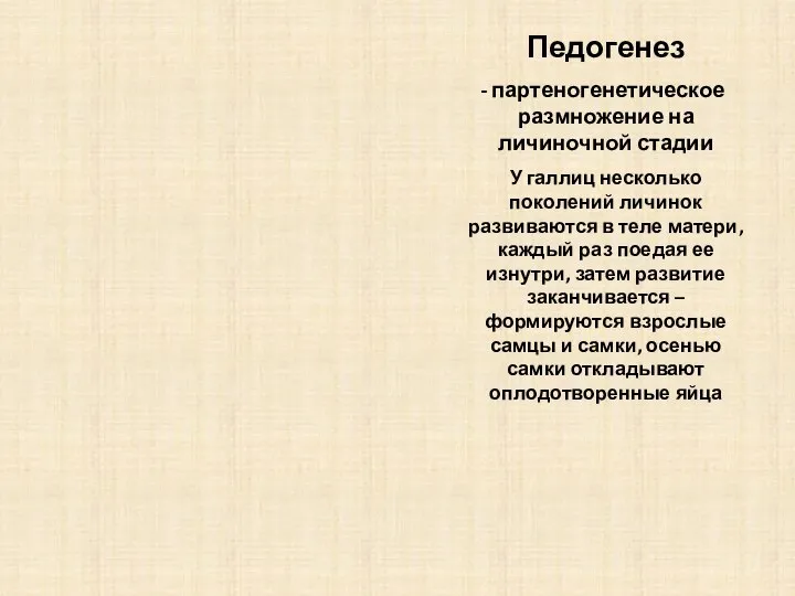 Педогенез партеногенетическое размножение на личиночной стадии У галлиц несколько поколений личинок