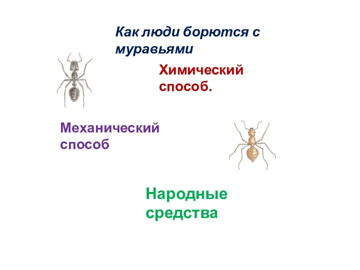 Как люди борются с муравьями Химический способ. Механический способ Народные средства