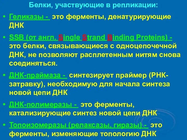 Белки, участвующие в репликации: Геликазы - это ферменты, денатурирующие ДНК SSB