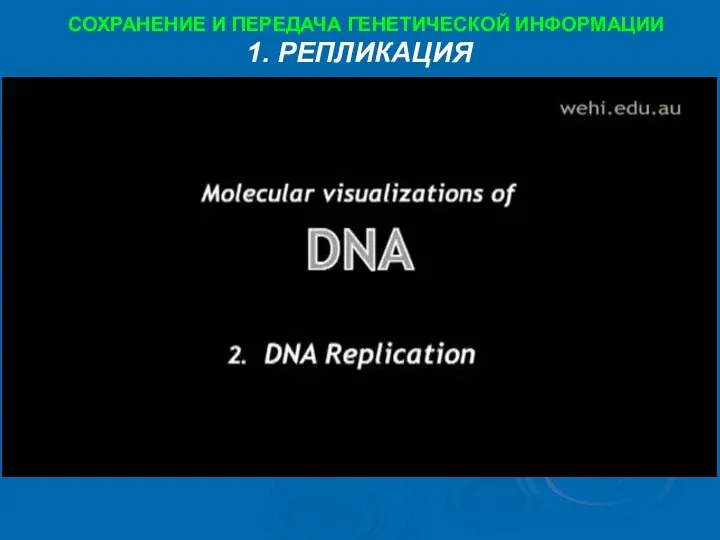 1. РЕПЛИКАЦИЯ СОХРАНЕНИЕ И ПЕРЕДАЧА ГЕНЕТИЧЕСКОЙ ИНФОРМАЦИИ