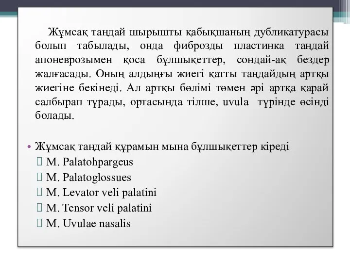 Жұмсақ таңдай шырышты қабықшаның дубликатурасы болып табылады, онда фиброзды пластинка таңдай