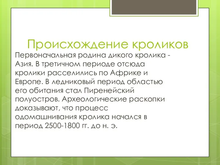 Происхождение кроликов Первоначальная родина дикого кролика - Азия. В третичном периоде