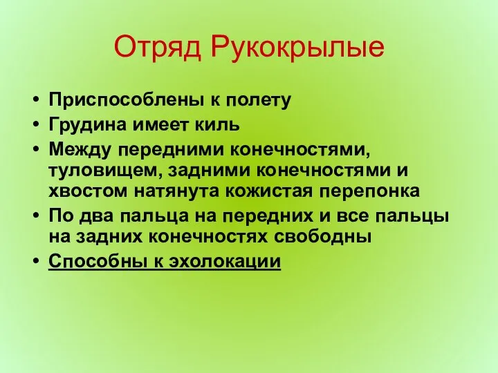 Отряд Рукокрылые Приспособлены к полету Грудина имеет киль Между передними конечностями,