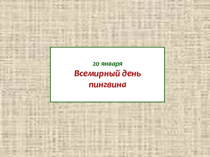 20 января Всемирный день пингвина