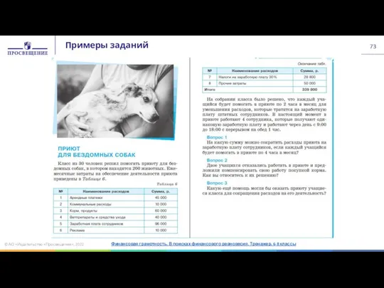 © АО «Издательство «Просвещение», 2022 Финансовая грамотность. В поисках финансового равновесия. Тренажер. 6-8 классы Примеры заданий