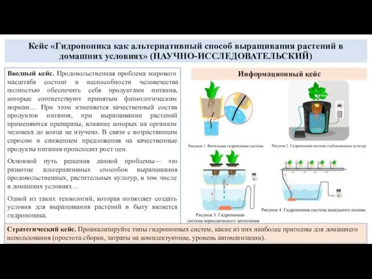 Кейс «Гидропоника как альтернативный способ выращивания растений в домашних условиях» (НАУЧНО-ИССЛЕДОВАТЕЛЬСКИЙ)