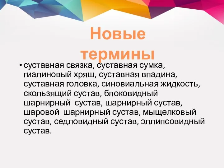 суставная связка, суставная сумка, гиалиновый хрящ, суставная впадина, суставная головка, синовиальная