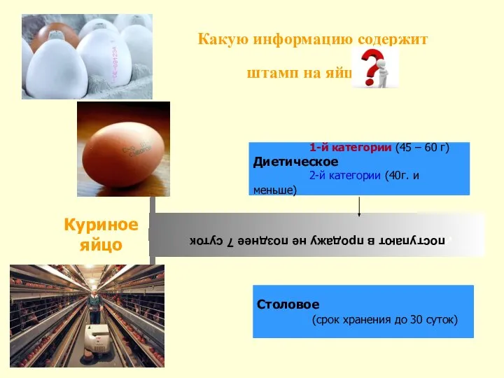 Какую информацию содержит штамп на яйце поступают в продажу не позднее