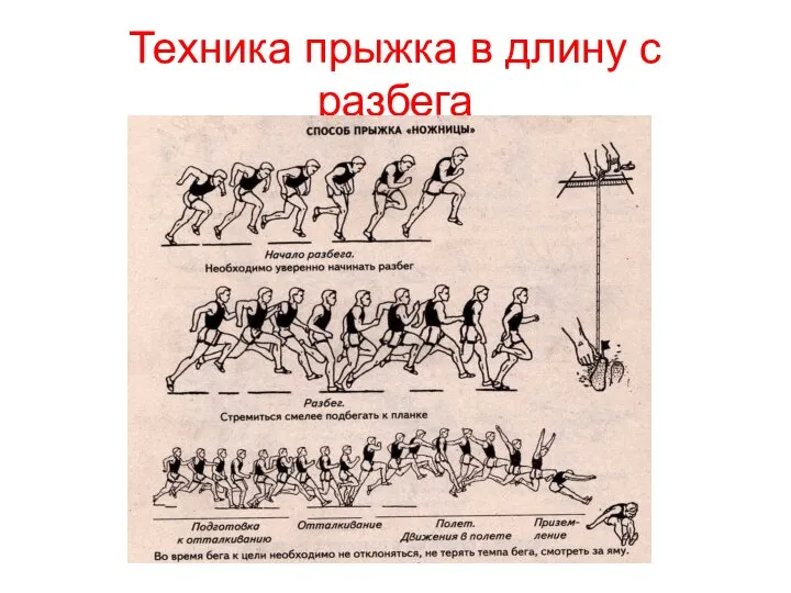 Техника прыжка в длину с разбега