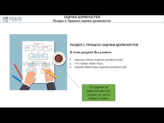 ОЦЕНКА ДОЛЖНОСТЕЙ Раздел 2. Процесс оценки должностей РАЗДЕЛ 2. ПРОЦЕСС ОЦЕНКИ