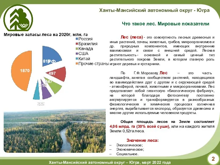 Что такое лес. Мировые показатели Лес (леса) - это совокупность лесных